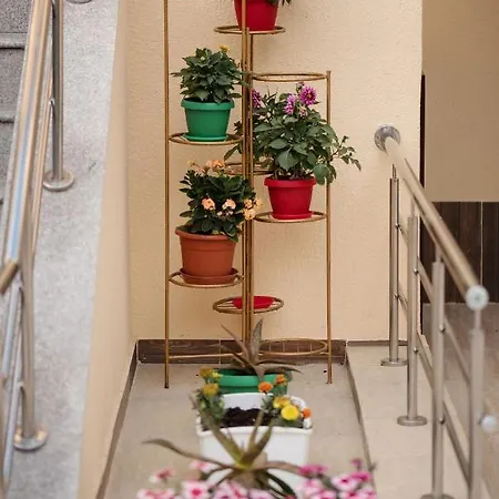 Gazde/Camere de închiriat Casa Octaral