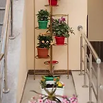 Gazde/Camere de închiriat Casa Octaral