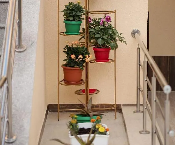 בית אירוח Casa Octaral