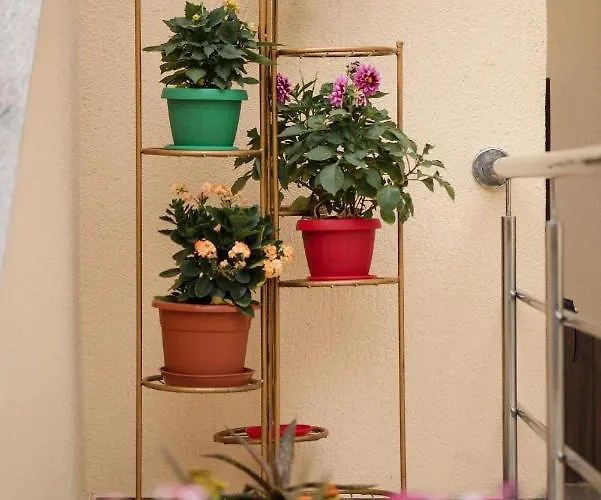 Casa Octaral אפורי נורד